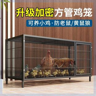 鸡下蛋的笼子养鸡笼家用养殖笼家用铁笼子鸡舍家用蛋鸡笼特大号