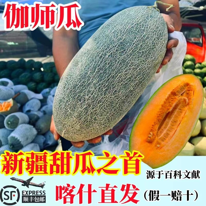 正宗新疆伽师瓜应季新鲜水果全网纹绿皮哈密瓜原产地直发全国包邮