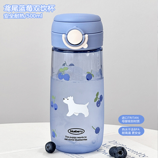 浮想吸管杯女生高颜值大容量水杯孕妇便携随行杯耐高温塑料杯新款