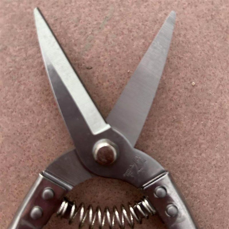 罗定不锈钢果剪新款摘果剪采柑桔剪蔬果剪沙糖剪刀圆头果子稀果剪,搬运/仓储/物流设备,机械式停车设备（立体停车库）,淘宝优惠券,粉丝福利购,淘宝优惠卷