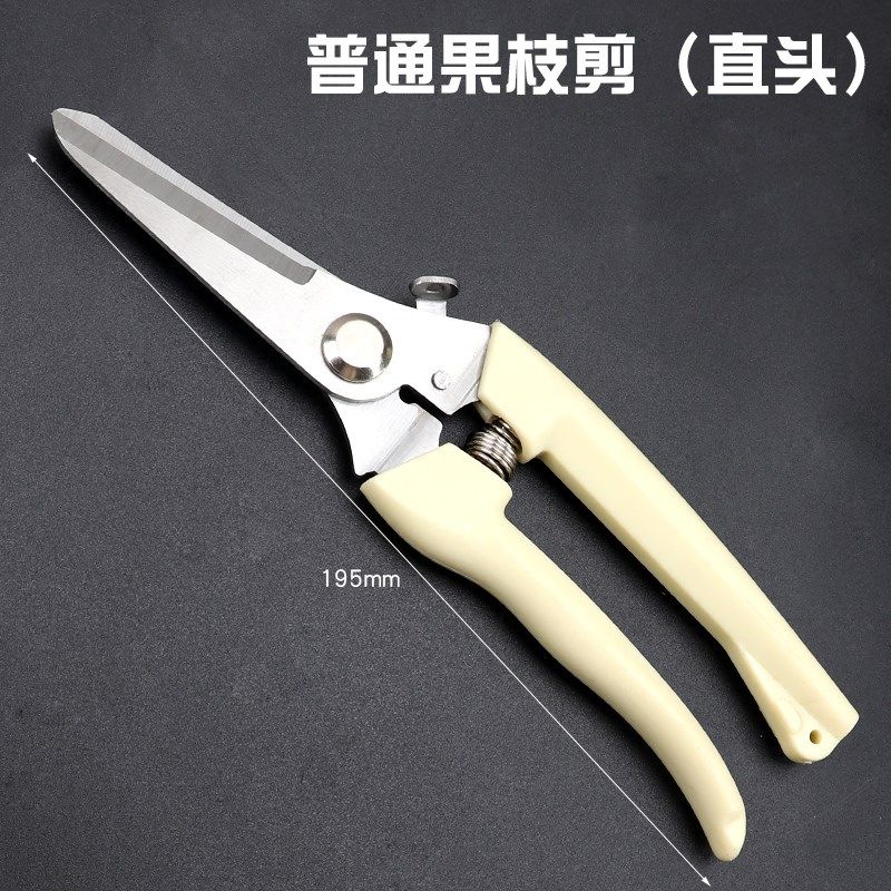 剪枝剪刀园艺剪树枝果树果枝修枝剪花剪园林花艺剪刀省力粗枝剪子,搬运/仓储/物流设备,机械式停车设备（立体停车库）,淘宝优惠券,粉丝福利购,淘宝优惠卷