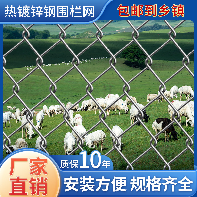 镀锌铁丝网防护网养殖围栏网养猪养鸡鸭鹅钢丝网格菱形网拦网栅栏