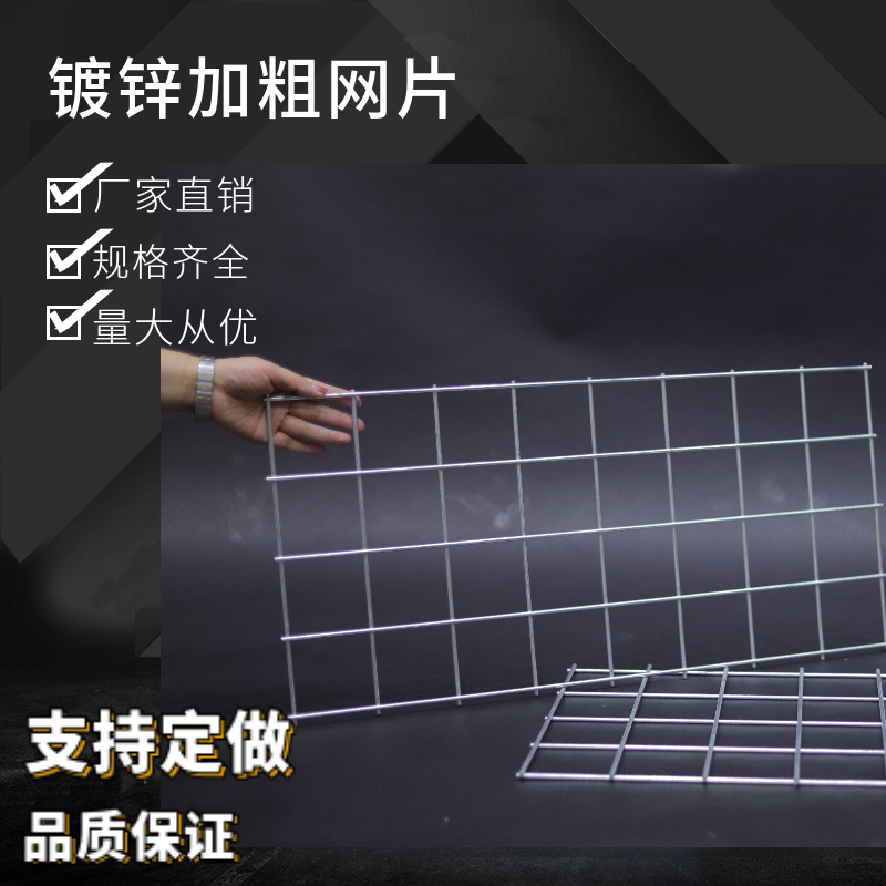 镀锌铁丝网片网格网钢丝小孔加粗养殖网狗笼养殖建筑钢筋网围栏网