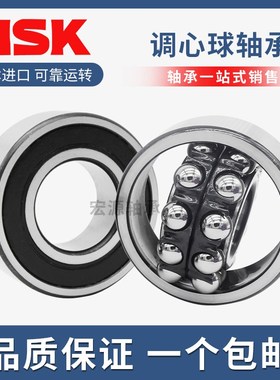 NSK进口双列调心球2200 2201 2202 2203 2204 22052RS带密封轴承