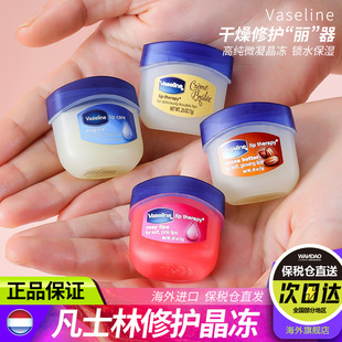 滋润玫瑰唇膜淡化唇纹女多香型 倪妮同款 凡士林正品 润唇膏保湿