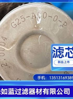 EPE D-68775 Ketsch 2.0004 G25-A00-0-P滤芯