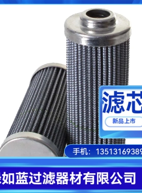 Rexroth力士乐R928036955 2.Z025 H10XL-B00-0-M滤芯