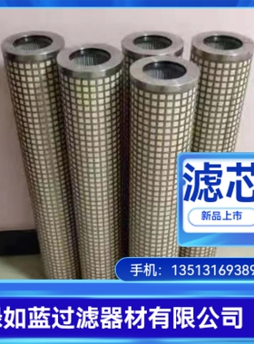 原料气滤芯 Raw gas filter