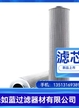 EATON伊顿厂家直销300600 01.E60.10VG.30.E.V.VA.10VG滤芯