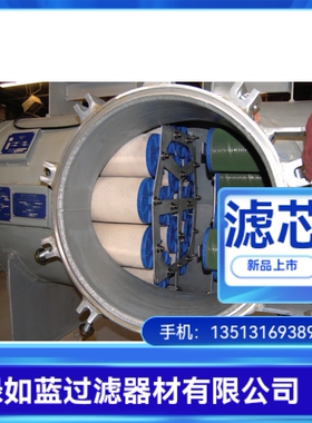 Butane coalescence separation filter丁烷聚结分离过滤器