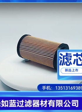 Duplomatic厂家直销FRTE034-P10S过滤器滤芯