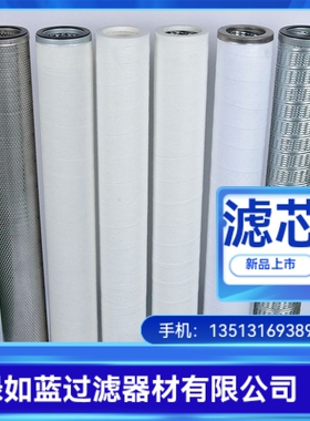 天然气管道防腐蚀聚结滤芯 natural gas coalescence filter