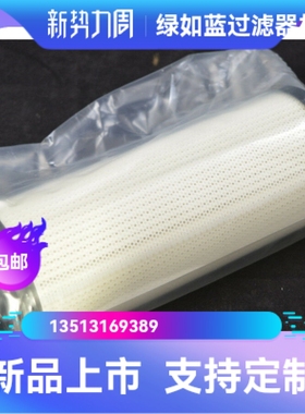 Rexroth力士乐厂家直销R900229747 ABZFE-R0140101X/M-A油滤芯