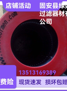 Internormen 306609  01.NR 1000.40G.10.B.P润滑站低压泵滤芯