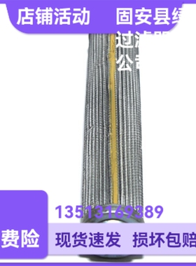 EPE D-68775 Ketsch 2.0013 H20SL-A00-0-P液压油过滤器更换滤芯