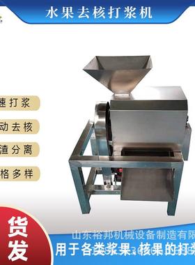 不锈钢水果打浆机设备浆果核果工业渣浆分离机自动排渣果浆设备
