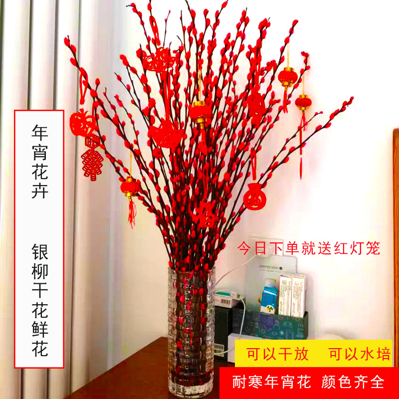 干花银柳价格 干花银柳图片 星期三 干花银柳价格 干花银柳图片 星期三