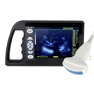兽用B超机猪用彩超机牛羊用测孕仪器畜牧b超机高清便携检孕仪包邮