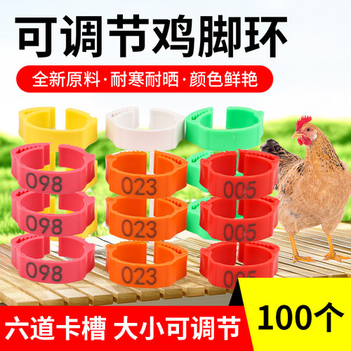 鸡脚环记号卡扣式鸡脚环扣记号识别环鸡鸭鹅鸽家禽类脚环脚圈标签