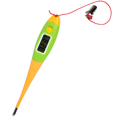 兽用电子体温计猪宠物体温表养殖