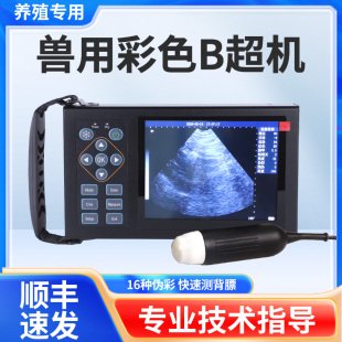 兽用B超机母猪用b超机测孕仪牛羊马驴用超声波彩超检孕测背膘比超