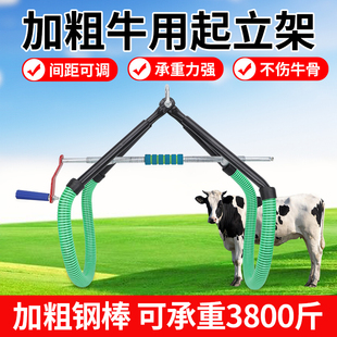 牛用起立架提牛架 加粗加厚奶牛辅助站立架 母牛生产保定架牵引器