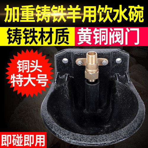 羊饮水碗用饮水器设备自动喝水碗