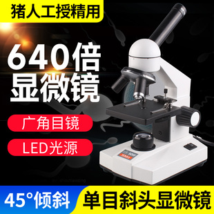 专业显微镜光学生物640倍高清电子养殖用看精子微生物螨虫 猪精液