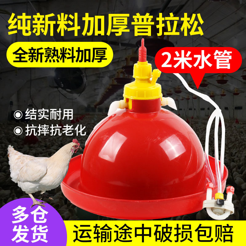 耐尔尼加厚大号普拉松自动饮水器鸡鸭鹅用喂水器鸡场喂鸡鸭饮水壶,宠物/宠物食品及用品,家养大动物器械,淘宝优惠券,粉丝福利购,淘宝优惠卷