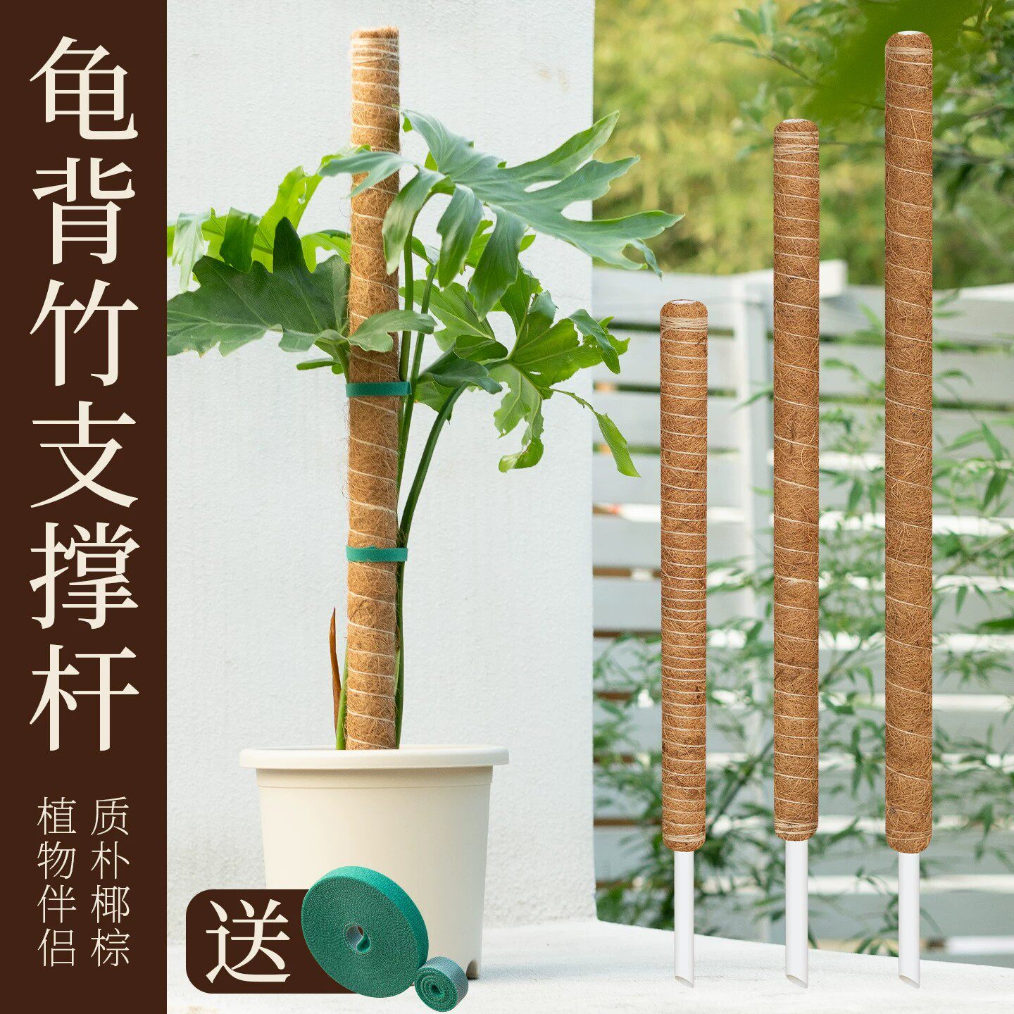 龟背竹支撑杆植物绿萝攀爬柱爬藤固定神器棕榈椰棕柱老桩防倒专用图片