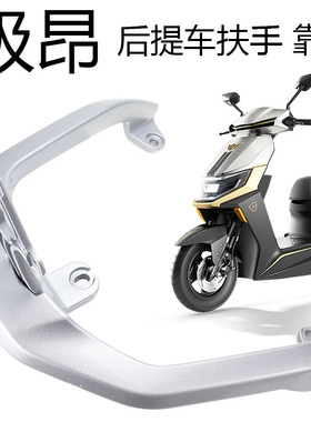 专用立马极昂电动车靠背尾架LM1500DT-27铝合金后尾箱延长支架