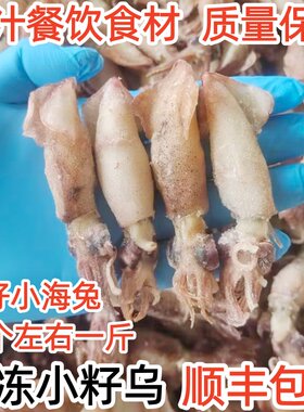 新鲜海鲜带籽籽乌海兔子净重包邮