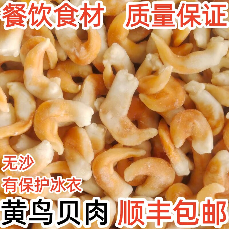 新鲜海鲜黄鸟贝肉冷冻鸟贝肉刺身级鸟贝捞汁麻辣火锅餐饮食材批发