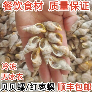 新鲜冷冻贝贝螺红枣螺白玉螺花螺小海螺丝海瓜子捞汁海鲜食材商用