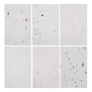艺墨轩花草植物宣纸古风小楷信纸毛笔信笺纸天然茶叶云龙皮纸情书小清新毛笔书法创作专用信纸半生熟植物宣纸