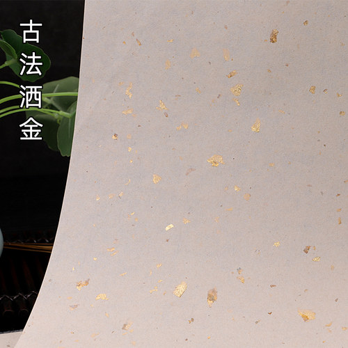 传统手工洒金宣纸信笺大片学生练