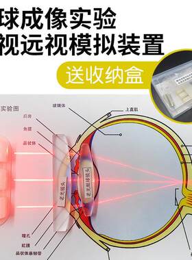眼球成像折射演示器物理光学实验