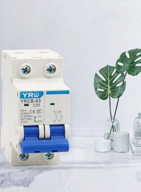 10A 16A 20A 25A 32A 40A 50A 63A 2P AC 400V微型断路器MCB