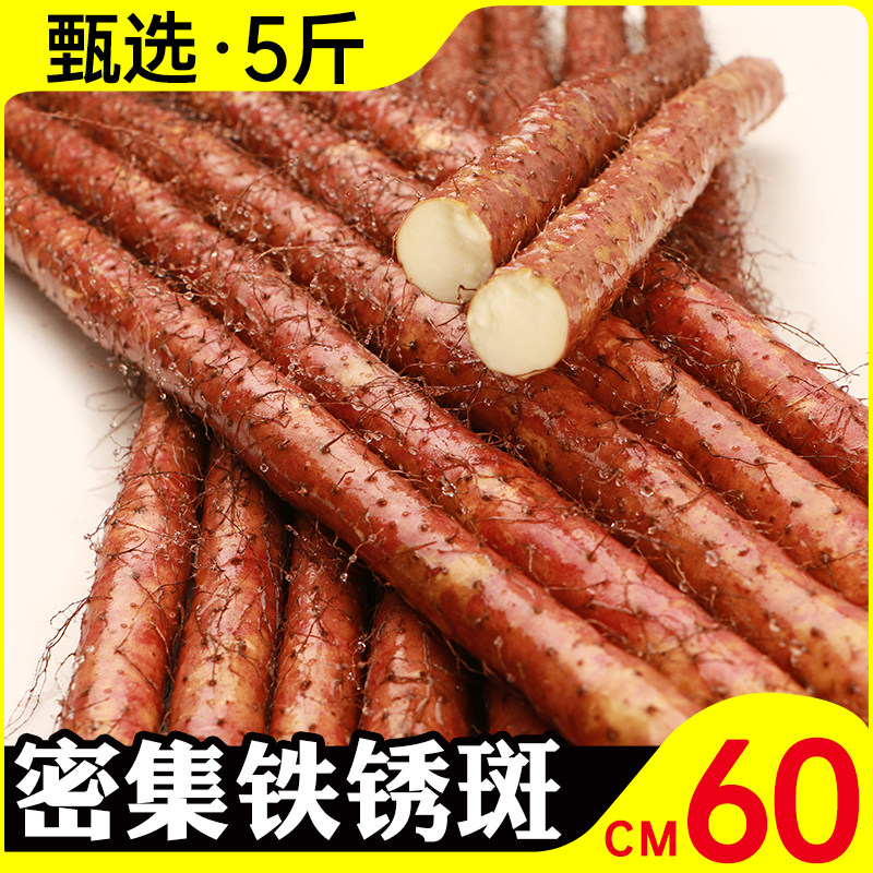 密集铁锈铁棍山药实惠装根根甄选