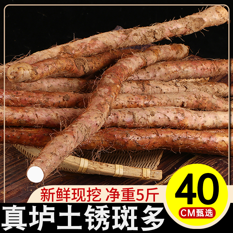 垆土河南焦作温县铁棍山药新鲜5斤官方旗舰店正宗紫怀淮山铁杆