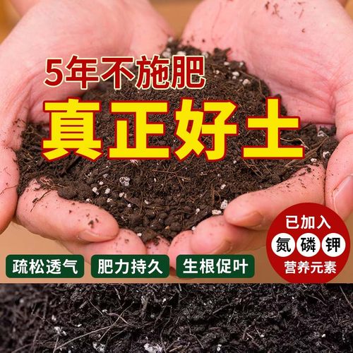 家庭园艺营养土多肉植物花泥壤