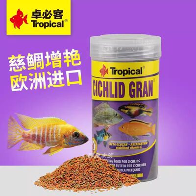 Tropical卓必客三湖慈鲷肉杂食