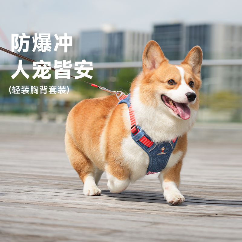 它愿狗狗牵引绳胸背带防爆冲中型犬柯基柴犬公园遛狗绳小狗牵狗绳