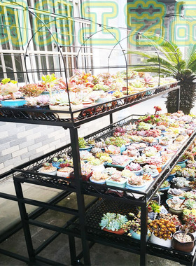 阳台花架室内庭院落地伸缩多层移动带轮多肉花架防雨遮阳防冻架子