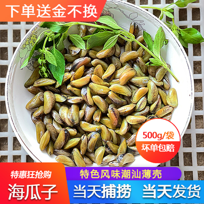 海瓜子鲜活新鲜薄壳海鲜水产