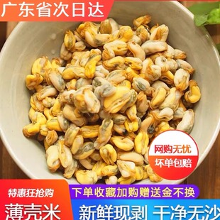 海瓜子纯肉鲜活三盒包邮贝壳当天现剥潮汕特产250g海鲜水产薄壳米