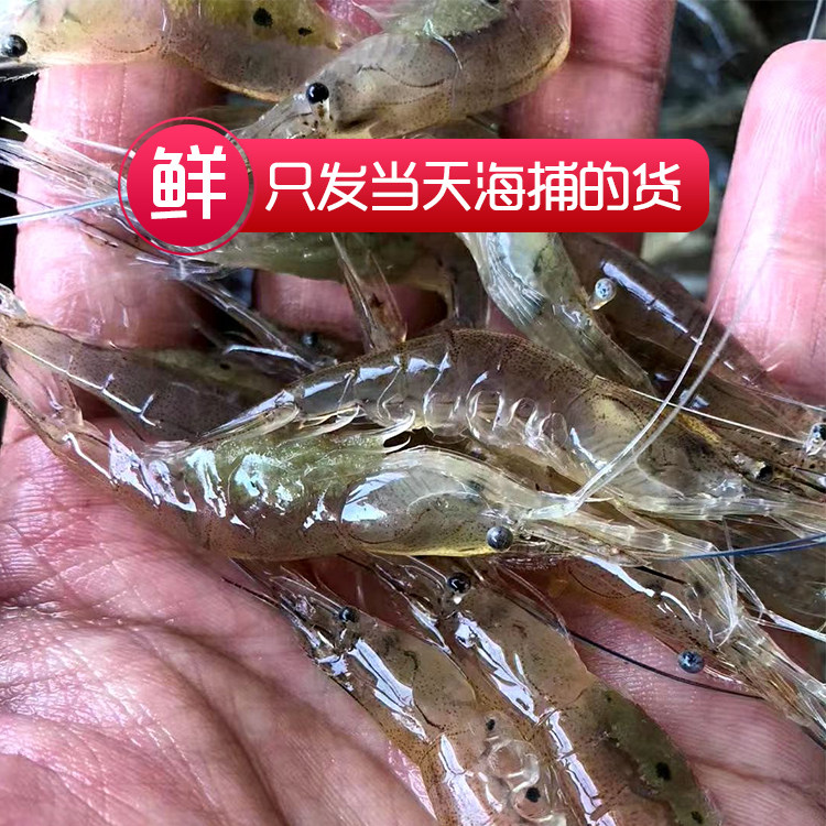 小河虾鲜活速冻补钙营养土虾狗虾