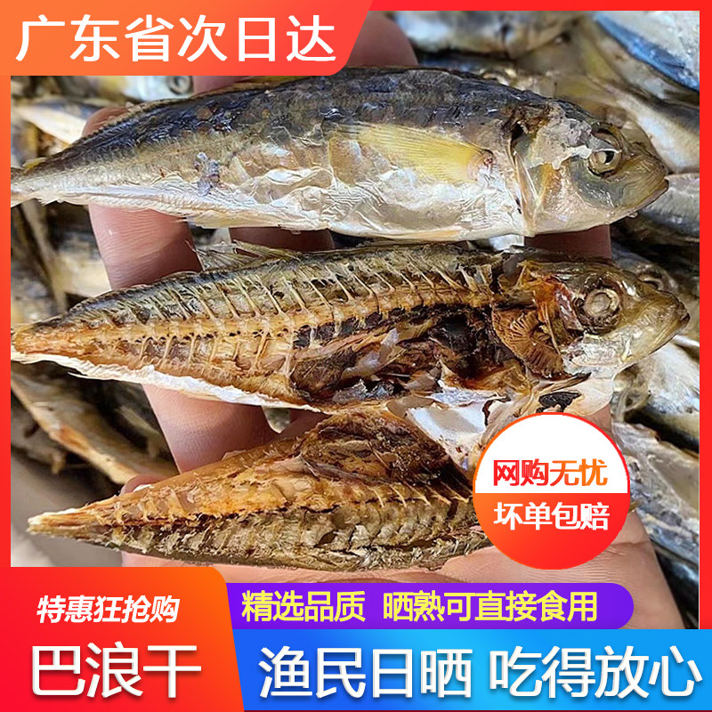 赤尾巴浪鱼干特级海鲜干货特产