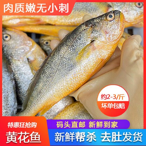 黄花鱼新鲜活杀冷冻鲜活包装真空