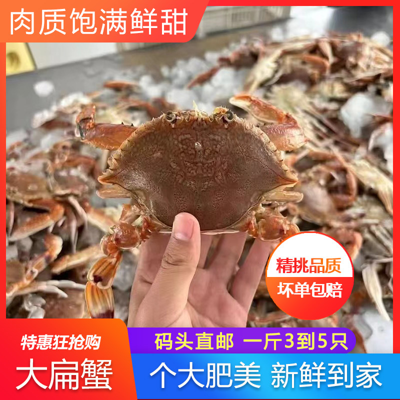 野生海鲜梭子蟹活冻大扁蟹